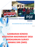 2. CIT PAPARAN PUSKESMAS DALAM MMD