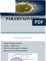 paramyxo-220912010312-4e99810a