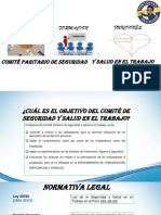 Material Informativo Comite de Seguridad y Salud