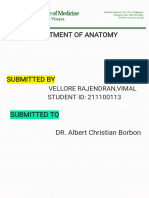 Anatomy Assignment 20 Part 2 Muscles of The Gluteal Region Laboratory Exercise PDF