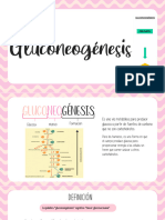 Gluconeogenesis