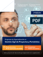 PUCP - Programa Portafolios v1