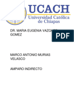 Murias Velasco Marco - Estructura de Amparo y Ampliacion