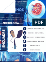 Alcalosis y Acidosis Metabólicas y Respiratorias PDF