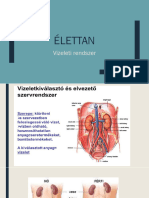 ÃLETTAN Vizeleti Rendszer - 5