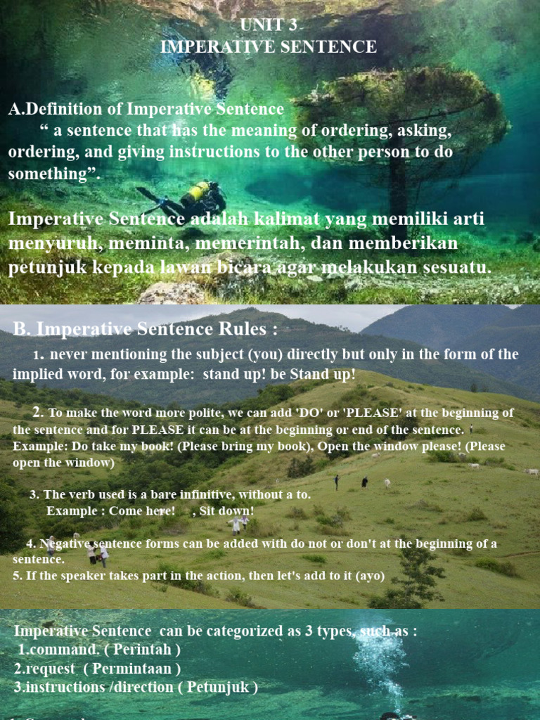 Understanding Imperative Sentences | PDF | Sentence (Linguistics ...