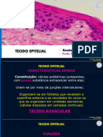 Aula Histologia Tecidos Epit Gland Conjuntivo Camila