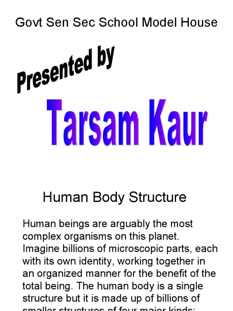 Human Body Structure | PDF