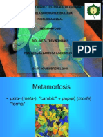 METAMORFOSIS