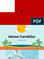 Marea Caraibilor 1