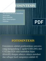 Fotsintesis Kelompok 6