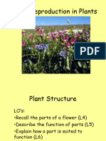 Sexual Reproduction in Plants