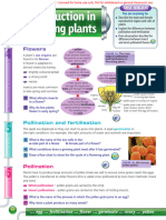 Plant Reproduction Text