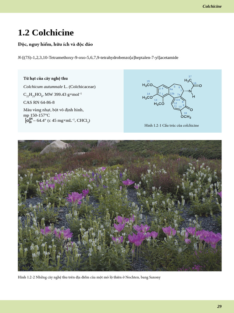 1.2 Colchicine | PDF