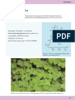 2.5 Chlorophyll A