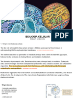 Módulo 1 - Fundamentos