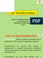 23 Cell Transformation 2