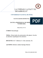 Práctica 5 - Parasitología - Informe