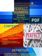 Perfect Numbers - Riju Chatterjee