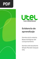 Bases Biológicas Del Comportamiento - Semana 1 - P