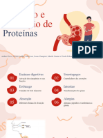 Digestão e Absorção de Proteínas