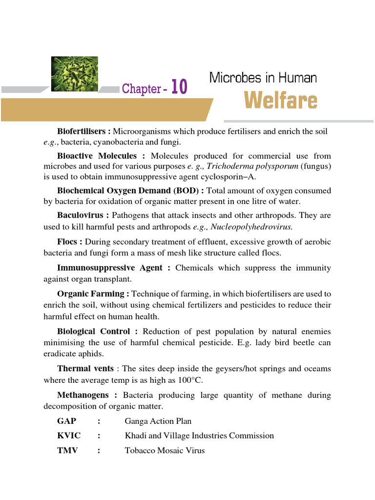 Microbes in Agriculture and Industry | PDF | Microorganism | Bacteria