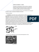 Aula 4 - Iff - Lipídios - Completa