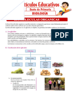 Biomoleculas Organicas para Sexto de Primaria