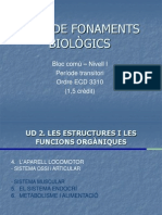 Bloc comú I-Fonaments Biològics-UD2 II(sistema ossi)