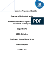 Reporte de Quirofano - DVMA