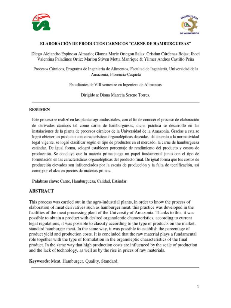 informe-carnicos-hamburguesa-descargar-gratis-pdf-carne