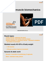 Muscle Biomechanics 2