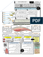 (03) اللافقاريات الحبلية