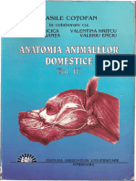 Anatomia Animalelor Domestice Cotofan Vol III