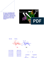 1 Glicoproteinas