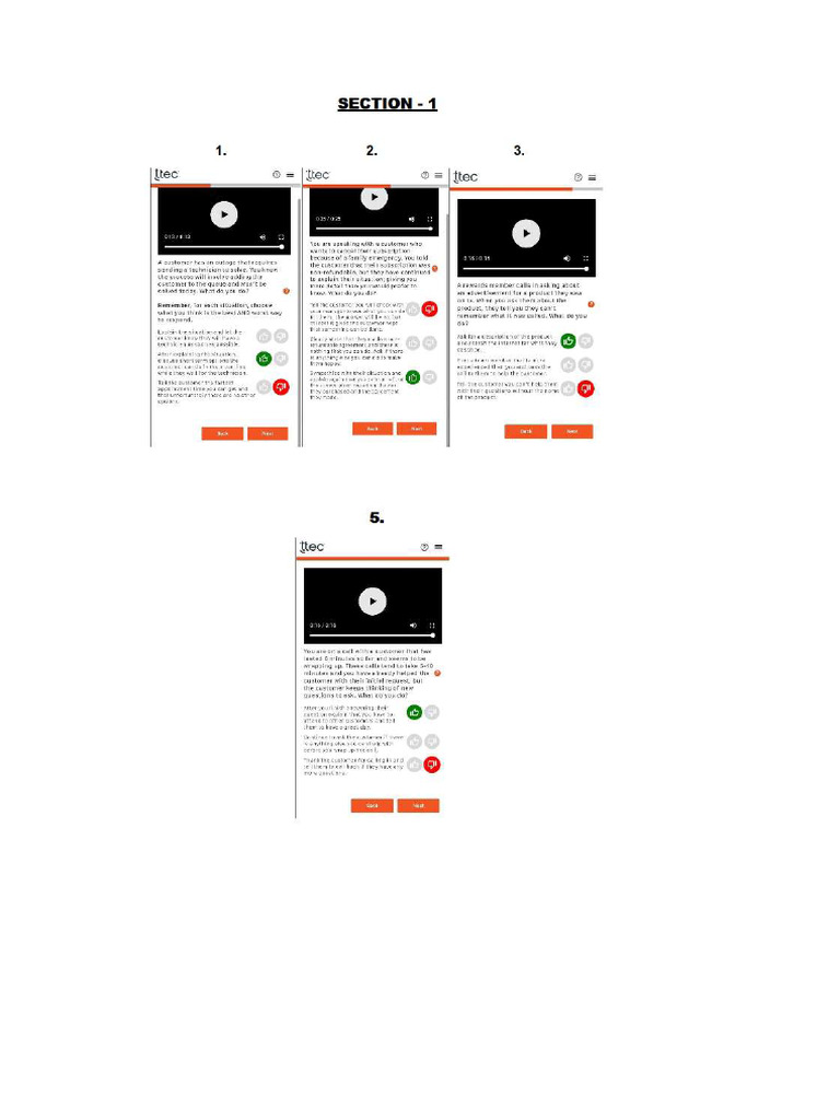 Alorica and TTEC Assessment Insights | PDF