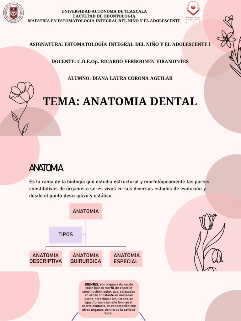 Anatomia Dental Pdf