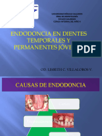 Tema Endodoncia. Lisbeth Villalobos