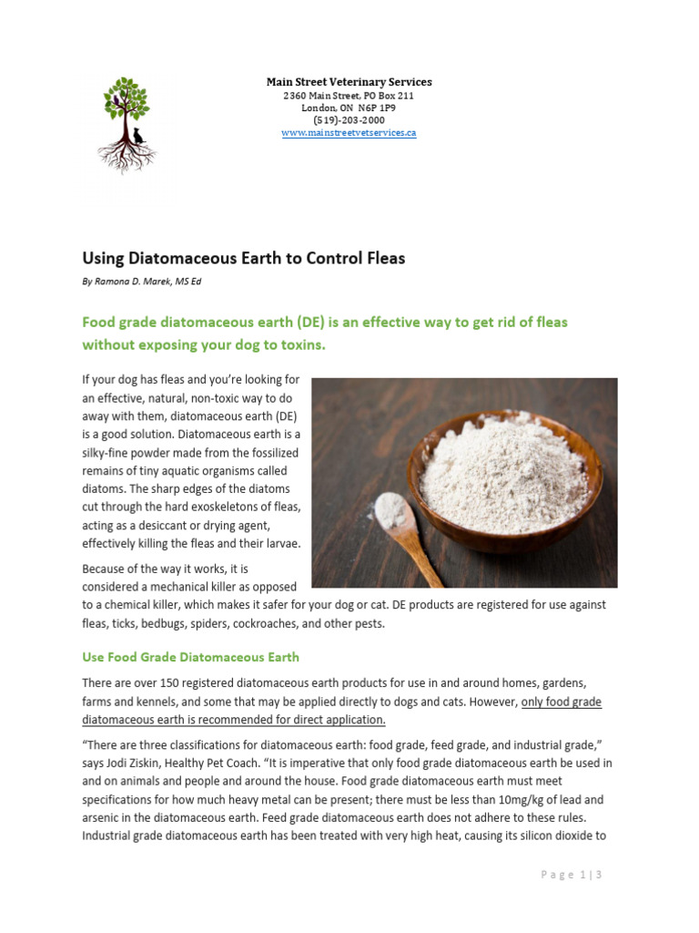 How To Make A Natural Cat Flea Repellent Using Diatomaceous Earth