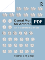 Dental Morphology For Anthropology