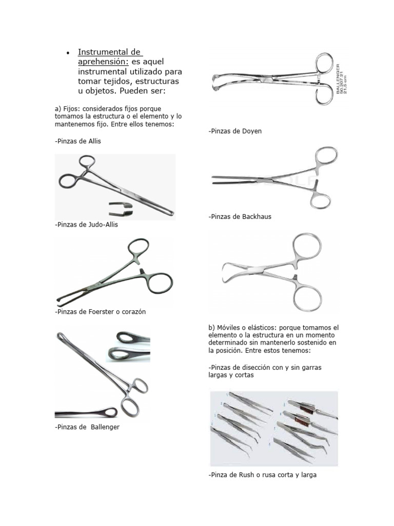 Instrumental de Aprehensión | PDF