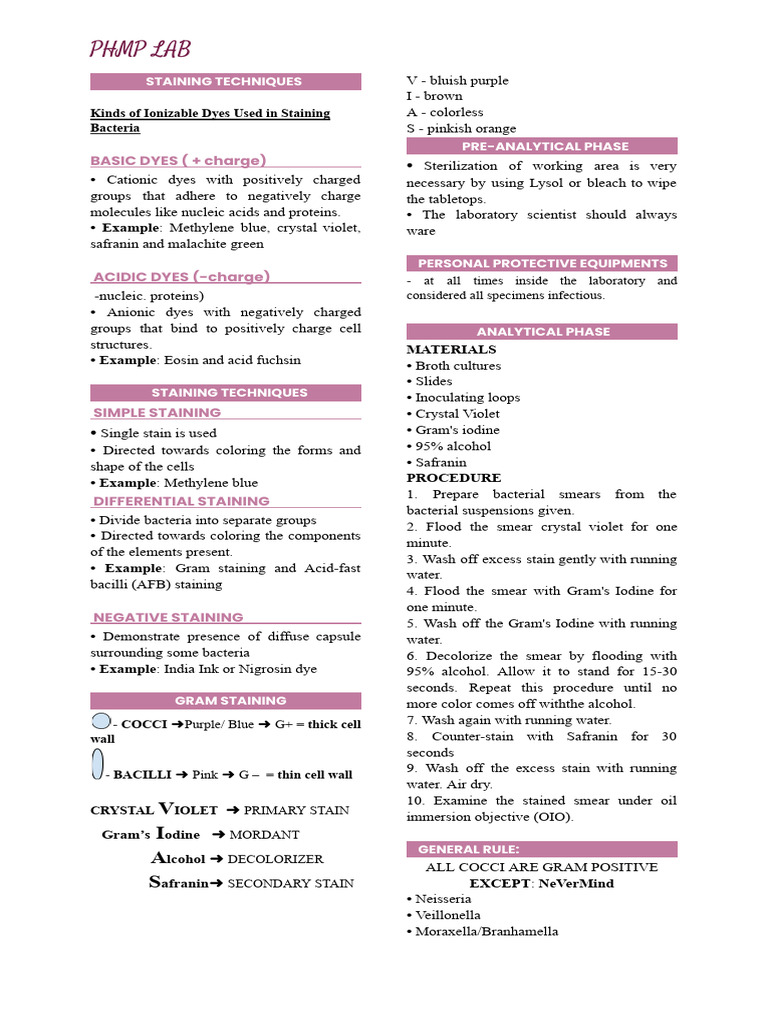 Staining Techniques | PDF | Staining | Gram Positive Bacteria