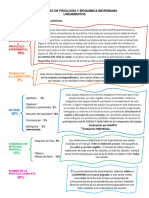 LINEAMIENTOS de EVALUACIÓN Ago23 QBP