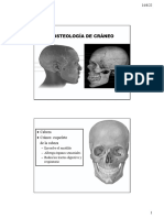 Clase Osteo Cabeza 2022