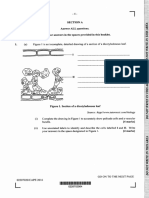 CAPE Photosyntheis U24 Questions