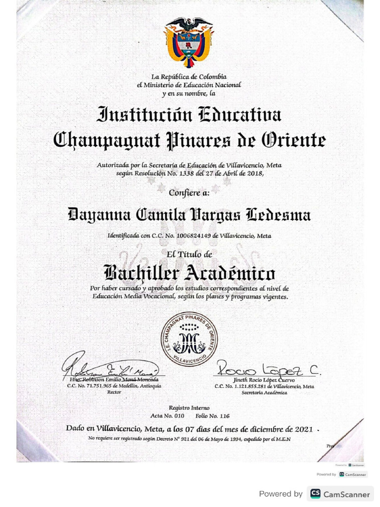 Bachiller | PDF
