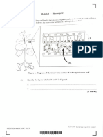 2023 Module1 QuesBIO