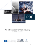 Introduction to Well Integrity