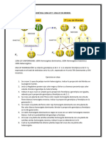 Genética 4to de Secundaria Biologia