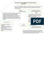 Cambios Fisiologicos en El Embarazo y Su Implicancia en Anestesia